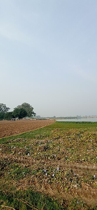 Student Management System Allapur