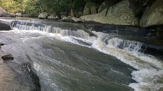 Student Management System Daringbadi