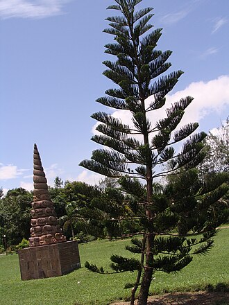 School software solution Jagatsinghapur